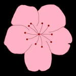 色花堂